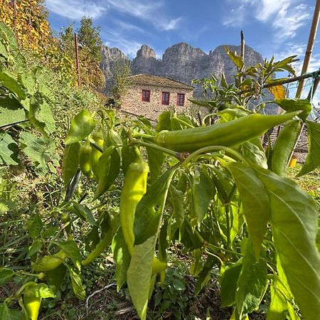 Morfeas Guesthouse Papingo Dış mekan fotoğraf