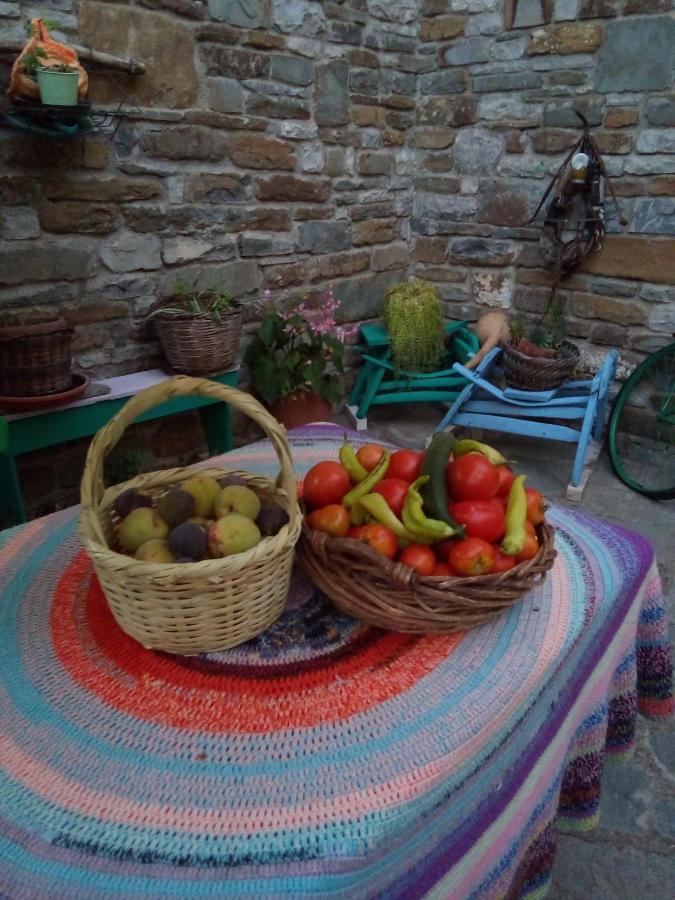Morfeas Guesthouse Papingo Dış mekan fotoğraf
