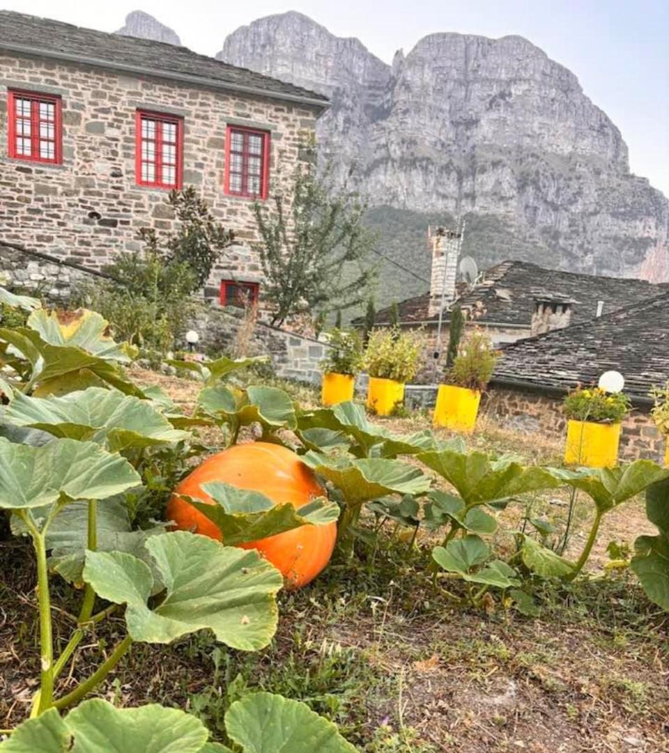 Morfeas Guesthouse Papingo Dış mekan fotoğraf