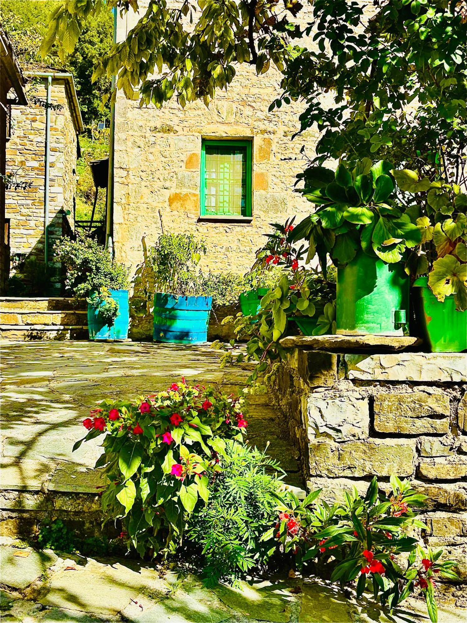 Morfeas Guesthouse Papingo Dış mekan fotoğraf