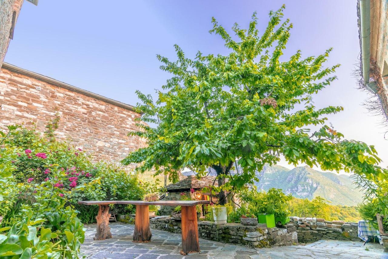 Morfeas Guesthouse Papingo Dış mekan fotoğraf