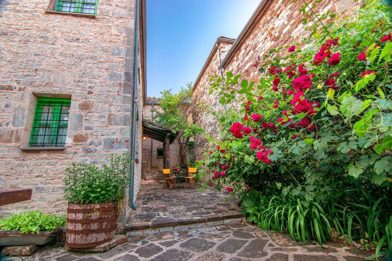 Morfeas Guesthouse Papingo Dış mekan fotoğraf