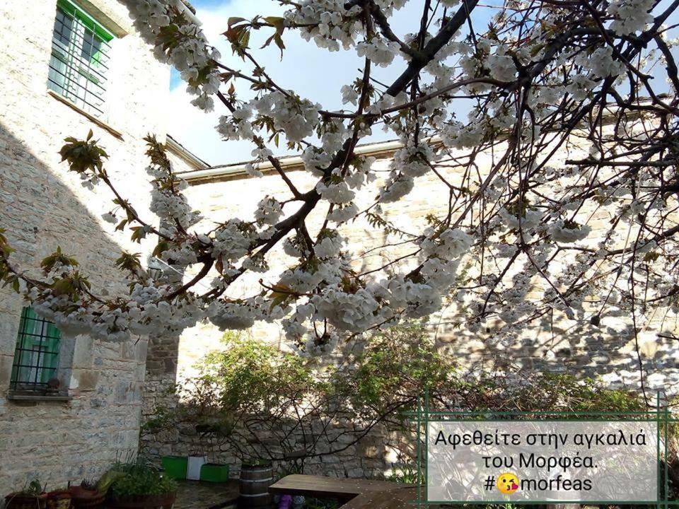 Morfeas Guesthouse Papingo Dış mekan fotoğraf