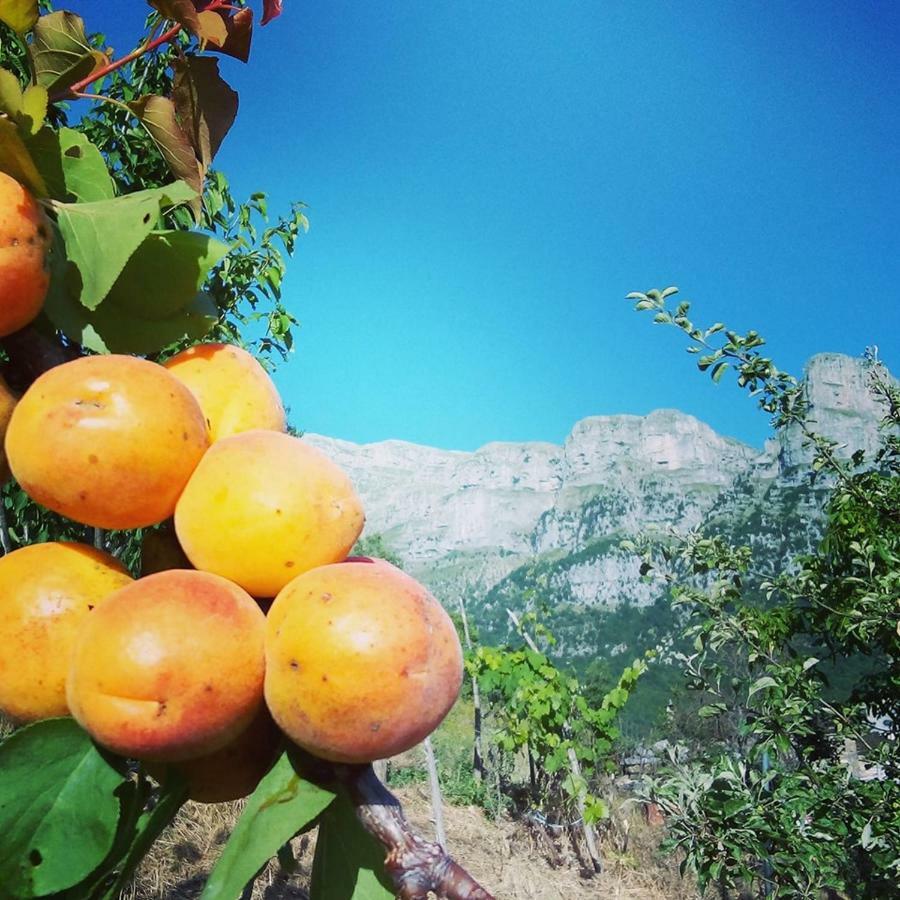 Morfeas Guesthouse Papingo Dış mekan fotoğraf