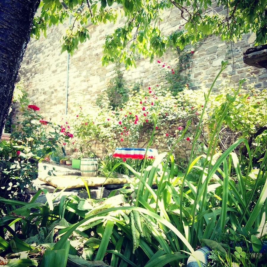 Morfeas Guesthouse Papingo Dış mekan fotoğraf