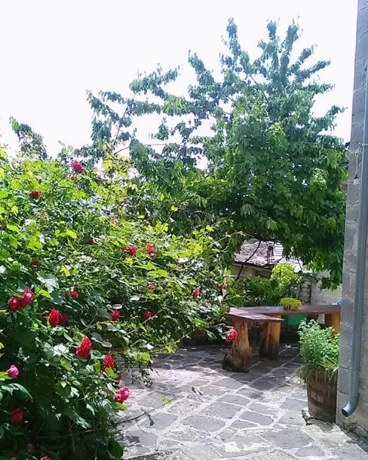 Morfeas Guesthouse Papingo Dış mekan fotoğraf