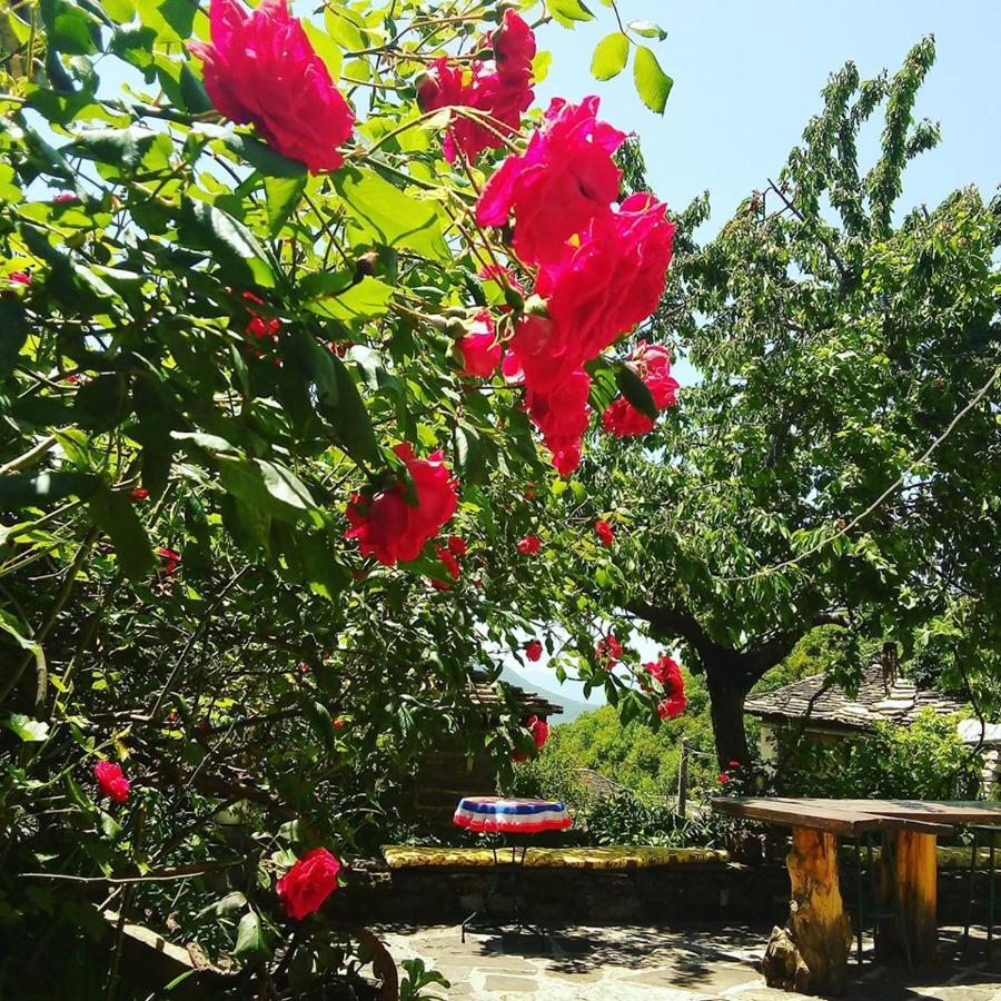 Morfeas Guesthouse Papingo Dış mekan fotoğraf