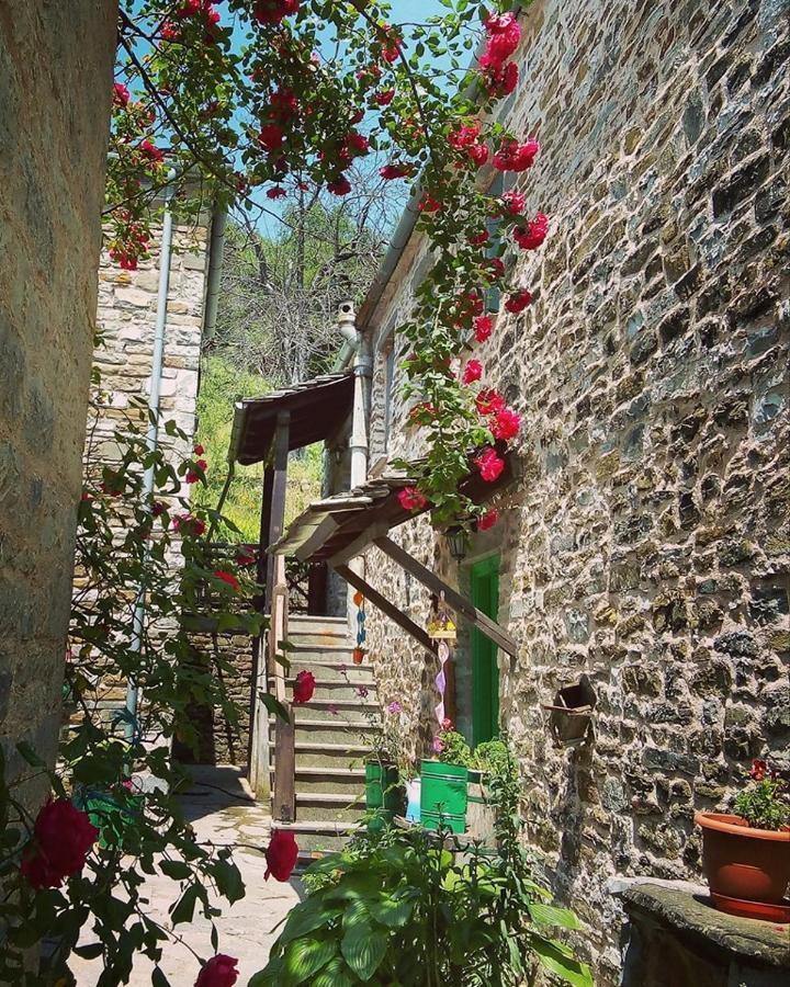 Morfeas Guesthouse Papingo Dış mekan fotoğraf