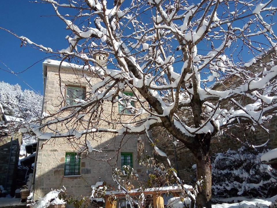 Morfeas Guesthouse Papingo Dış mekan fotoğraf